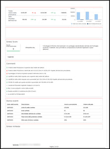 Report impresa